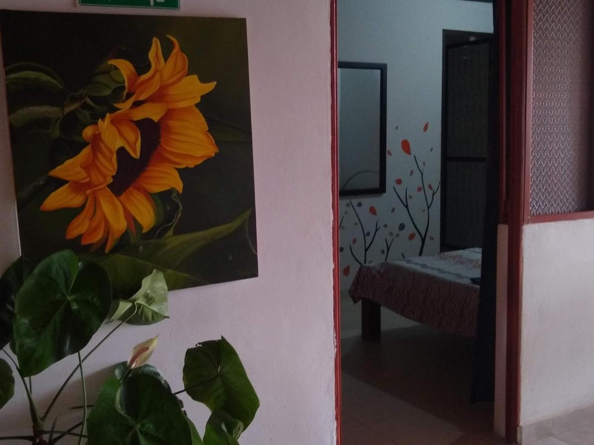 Casa Pacha Hotel Гуадуас Екстериор снимка